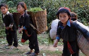 Image result for North Korea Child Labor