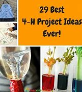 Image result for Easy 4 H Project Ideas