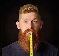 Image result for 2 Inch Beard