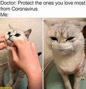 Image result for Face Mask Cat Meme