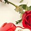 Image result for Floral Phone Wallpaper Love