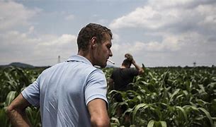 Image result for South African Farmers