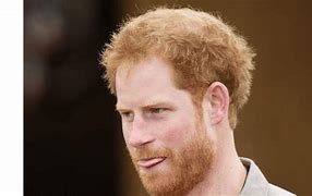 Image result for Prince Harry Polo Antics