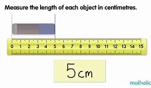 Image result for How Long Is 17 Cm