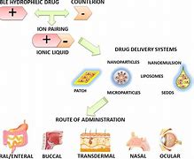Image result for Drug Formulation