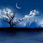 Image result for Halloween Photo Backgrounds