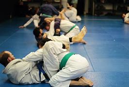 Image result for Brazilian Jiu Jitsu Positions