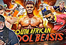 Image result for South African Rugby Memes