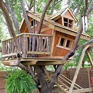 Image result for building a tree house