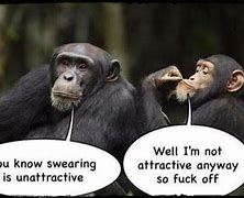 Image result for Ape Jokes