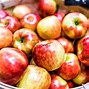 Image result for Best Apple's for Apple Pie