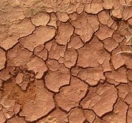 Image result for Cracked Dirt