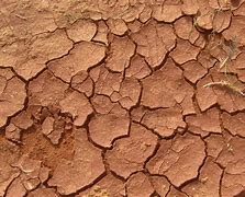 Image result for Dry and Cracked Land