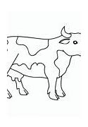 Image result for Dibujo De Una Vaca