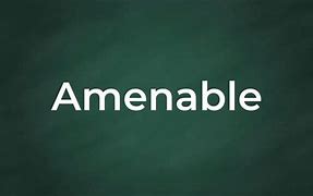Image result for ajenwble