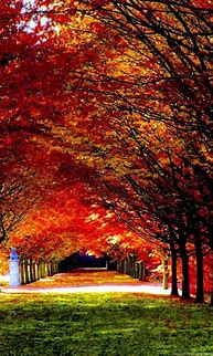 Image result for Fall Landscape Screensavers