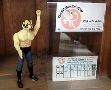 Image result for Free WWE Action Figures