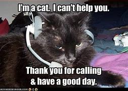 Image result for Get On the Phone Meme