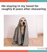 Image result for Dog Towel Meme