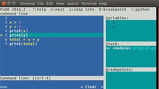 Image result for Python Debugger GUI