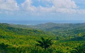 Image result for Barbados Natural Borders