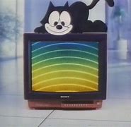 Image result for 27 Sony Trinitron TV