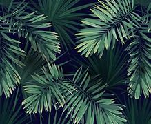 Image result for Green Plants PC Wallpaper