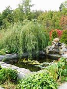 Image result for Solar Power Garden Water Features