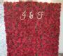 Image result for Red Rose Flower Wall