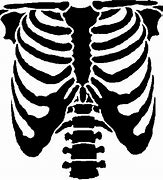 Image result for Hellraiser Rib Cage