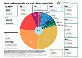 Image result for Lung Tumor Size Chart