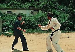 Image result for Martial Arts Films