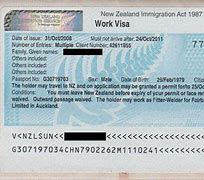 Image result for New Zealand Work Visa Banner
