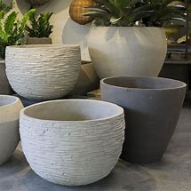 Image result for Clay Pots for Plants