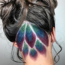 Image result for Peacock Hair Color