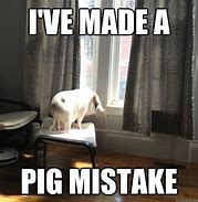 Image result for pigs memes