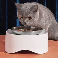 Image result for Cat Food 3 Bowl