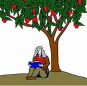 Image result for Isaac Newton Apple Falling From Tree