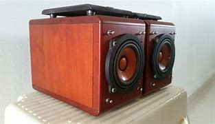 Image result for First Cone Speakers