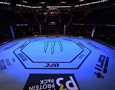 Image result for Where Is the UFC Octagon