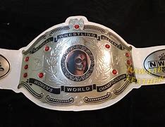 Image result for World Wrestling Federation Champion Belt