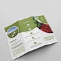 Image result for Agriculture Brochure Design