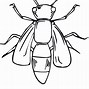 Image result for Bug Clip Art