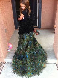 Image result for Peacock Costume Ideas