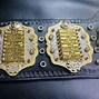 Image result for IWGP Championship