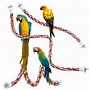 Image result for Bird Rope Toys