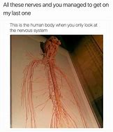 Image result for Nervous System Meme