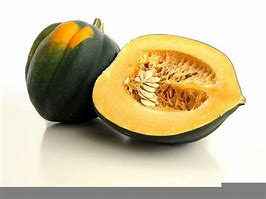 Image result for Squash Seed Clip Art
