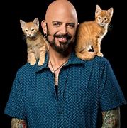 Image result for Jackson Galaxy Climbing Cat