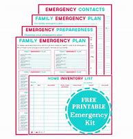 Image result for Printable Emergency Action Plan Template